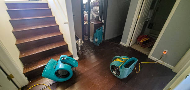 Best 24/7 water damage repair  in Nacogdoches, TX