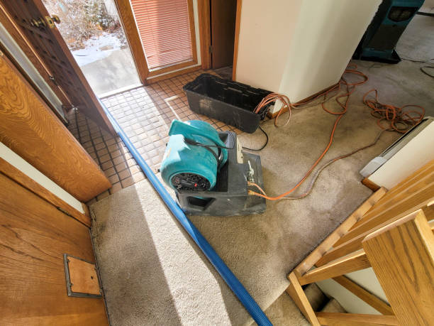 Best Water damage restoration near me  in Nacogdoches, TX