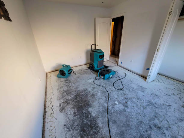 Best Carpet water damage restoration  in Nacogdoches, TX